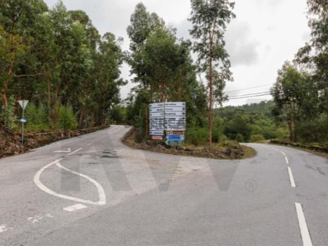 Terreno Rústico com 9000m2 em Refojos de Basto, Cabeceiras de Basto