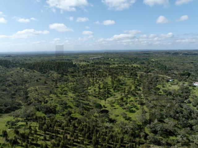 Terreno Rústico com 9,3 Hectares na Serra de Grândola Mosqueirões