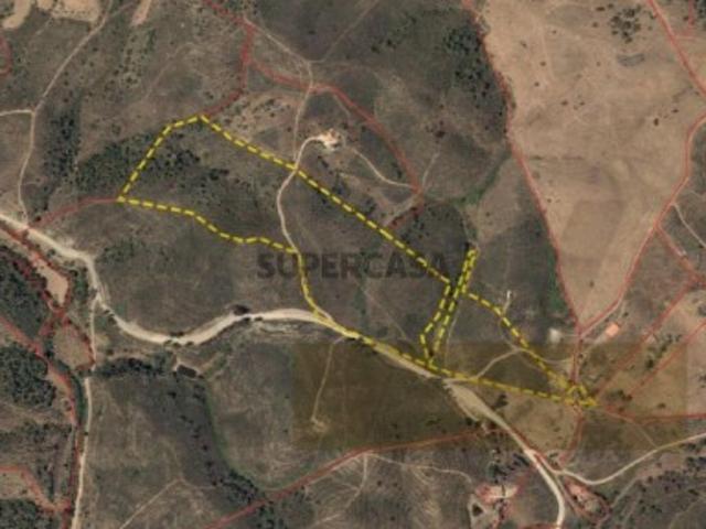 Terreno Rústico com 9,1 Hectares em Santana da Serra Óptimo para projeto agrícola