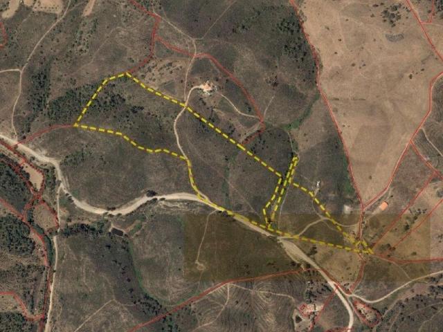 Terreno Rústico com 9,1 Hectares em Santana da Serra Óptimo para projeto agrícola