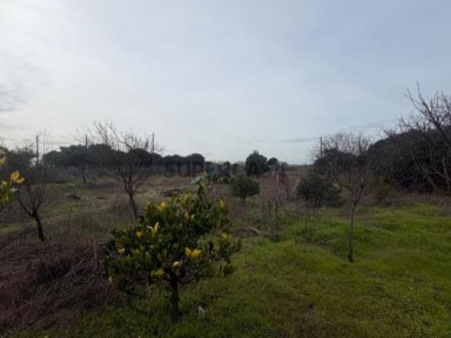 Terreno de 9.300 m² com construção, na Lau, Palmela