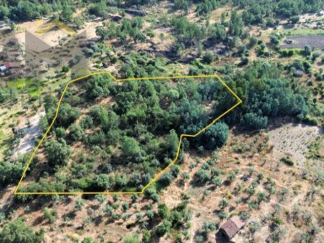 Terreno rustico com 9.320m2 para venda próximo ao Salgueiro do Campo!