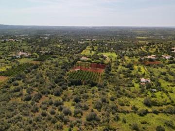 Terreno Rústico com 9.400 m² em Pedregais Ideal para Agricultura ou Projeto Rural