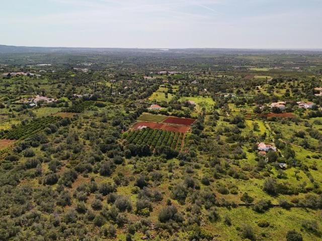 Terreno Rústico com 9.400 m² em Pedregais – Ideal para Agricultura ou Projeto Rural