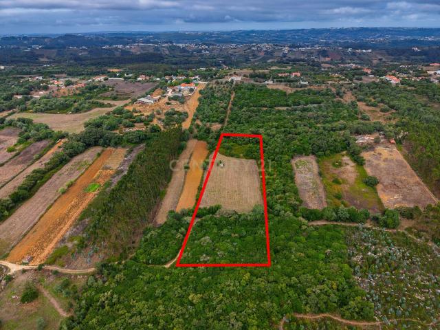 Terreno Rústico com 9.900 m² | Natureza e Tranquilidade | Algar da Figueira, Turquel
