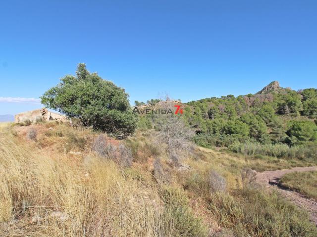 TERRENO RUSTICO CON CASA EN EL CONSEJERO DE 254.000 m2 REF 346