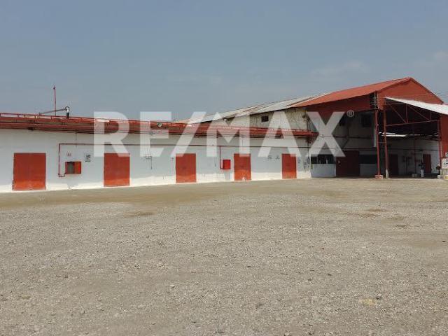 TERRENO RÚSTICO CON CONSTRUCCIÓN Y BODEGA