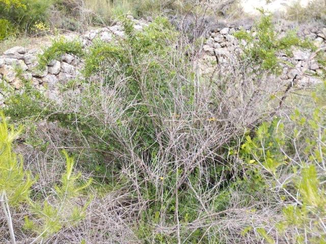 TERRENO RUSTICO CON DOS VIVIENDAS Y 8 HECTAREAS EN LA MONTAÑA
