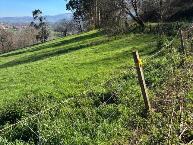 Terreno rustico con posibilidad de construir