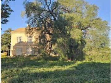 Miranda, Torre Vieja, Villamartin, Alicante, Urbanización Lomas D Juan Este, Alicante, Comunidad Valenciana, Comunidad Valenciana