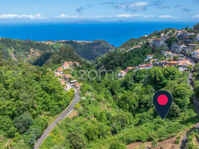 Terreno Rústico – Camacha, Ilha da Madeira