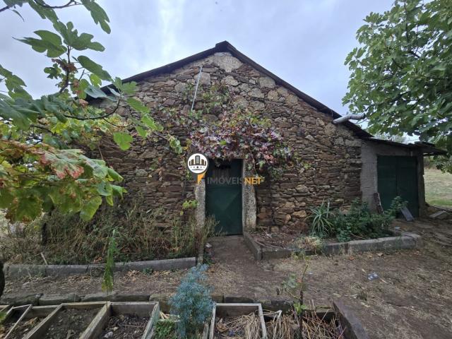 Terreno Rústico, Castelo Branco, Tapada dos Frades