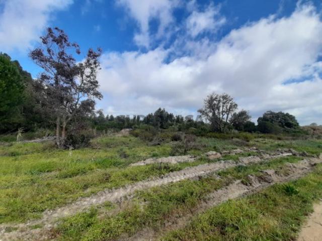 Terreno rústico classificada pelo PDM em vigor como urbanizável habitacional mista de nível IV situado junto à Pegões Gare