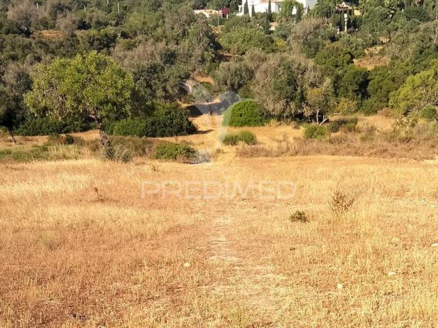 TERRENO RUSTICO A 3 KM DE ALBUFEIRA com 16.200 m2