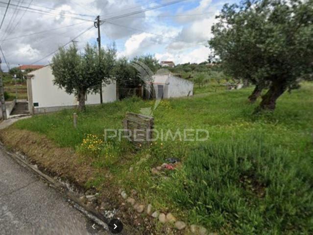 Terreno rústico à venda em Crucifixo, Tramagal – Abrantes