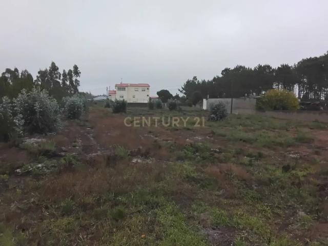 Terreno rústico à Venda em Grou, Guia, Pombal