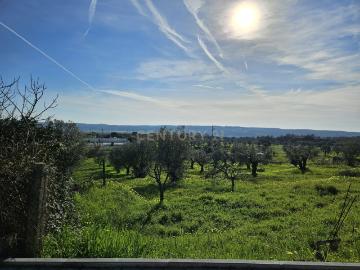 Terreno Rústico à Venda em Montalvo Oportunidade Única