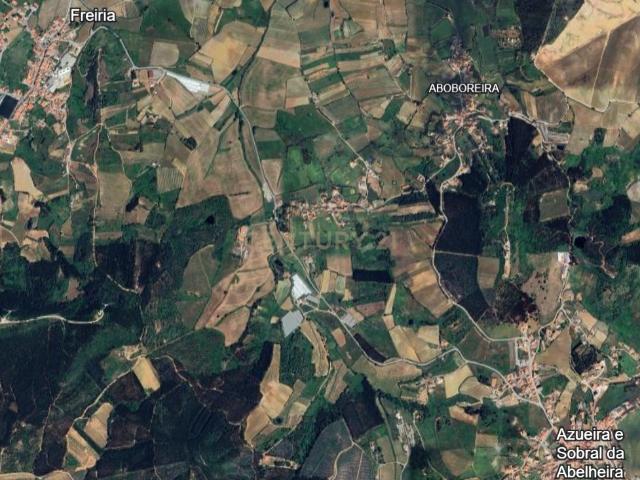 Terreno Rústico à Venda – Livramento / Mafra
