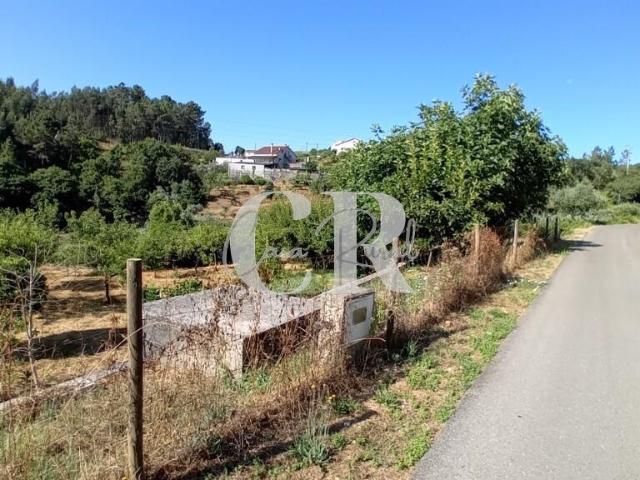 Terreno rustico a confinar com ribeiro em Figueiró dos Vinhos