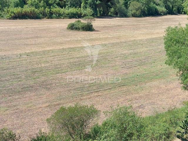 Terreno Rústico, Agricultura de Regadio, Pernes, Santarém