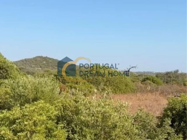 Terreno rústico | Agricultura | Monprolé, Loulé | 15.510m2