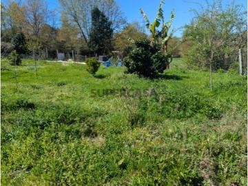 Terreno Rústico Agrícola com 13.410m² Serzedelo, Guimarães