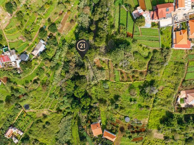 Terreno Rústico Agroflorestal de 730 m2 Santa Cruz, Madeira