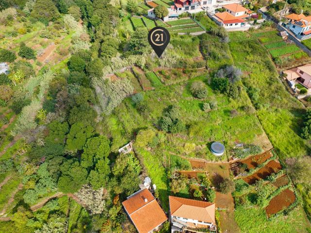 Terreno Rústico Agroflorestal de 900 m2 Santa Cruz, Madeira