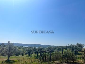 Terreno Rustico Alqueva