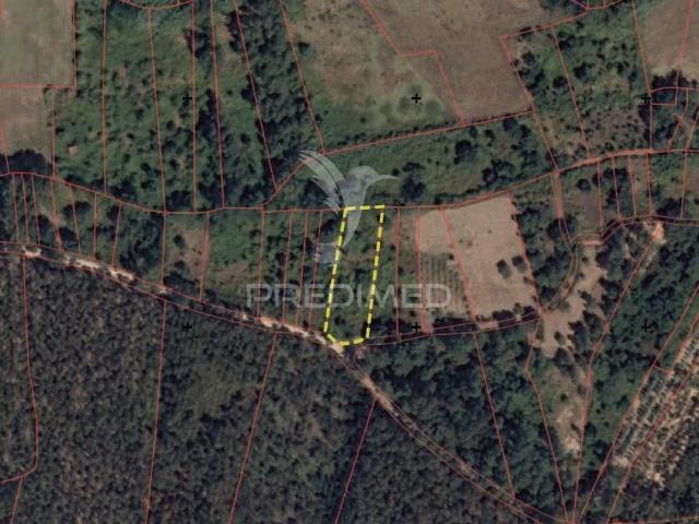 Terreno Rústico Arneiro das Milhariças, Santarém