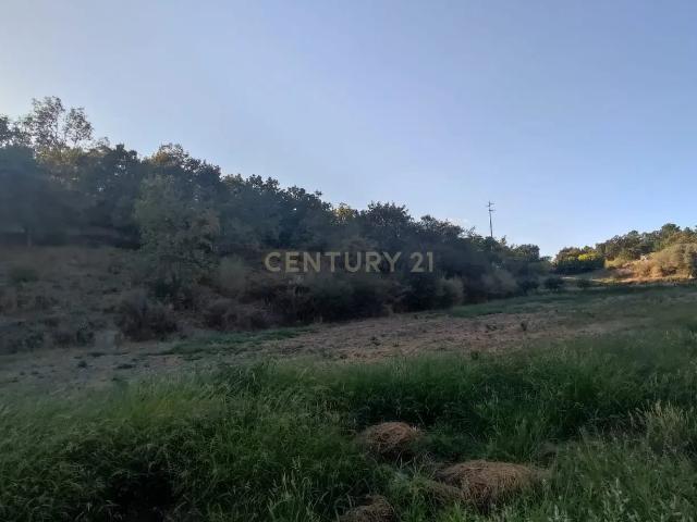 Terreno Rústico, Atalaia do Campo