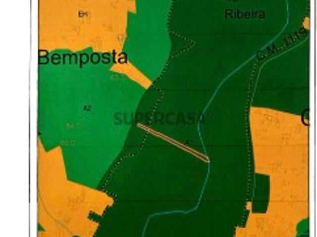 Terreno Rústico Bemposta, Tomar