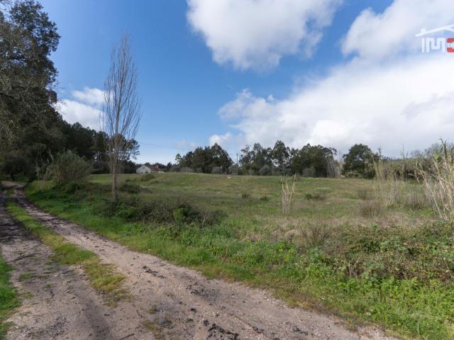 Terreno Rustico, Gondemaria