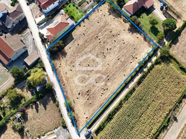 Terreno rústico de 3.693 m² murado e plano na periferia de Chaves