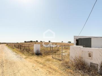 Terreno rústico de 3 hectares, com dependência agrícola, poço e tanque | Alcáçovas
