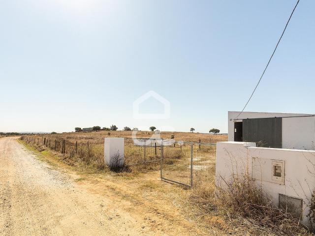Terreno rústico de 3 hectares, com dependência agrícola, poço e tanque | Alcáçovas