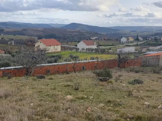 Terreno Rústico de 11.692 m² – Oportunidade para Jovens Agricultores em Bassal, Bragança