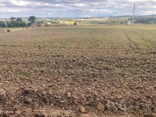 Terreno Rústico de 14.000 m² na Vila de Atouguia da Baleia