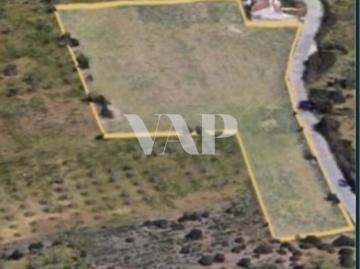 Terreno rústico de 1.5ha para arrendamento, Lagoa