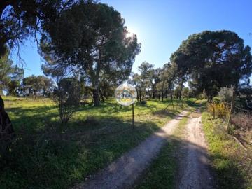 Terreno Rústico de 1,75 ha com Montado de Sobreiros Oportunidade no Coração do Alentejo