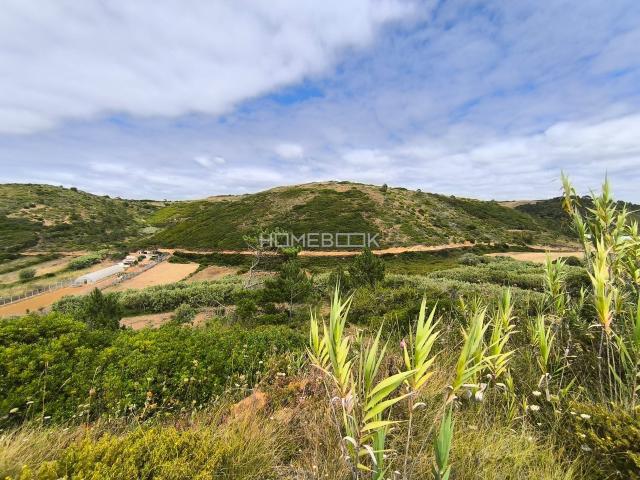 Terreno Rústico de 2032m2 com Curso de Água | Assafora Sintra