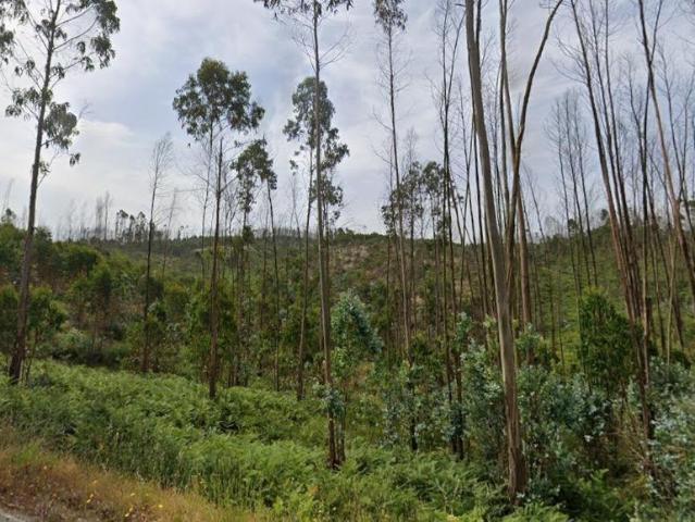 Terreno Rústico de 23718 m2 em Espite Ourém