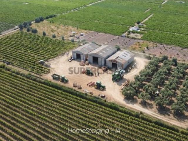 Terreno Rústico de 28.500 m² com vinha e potencial de construção