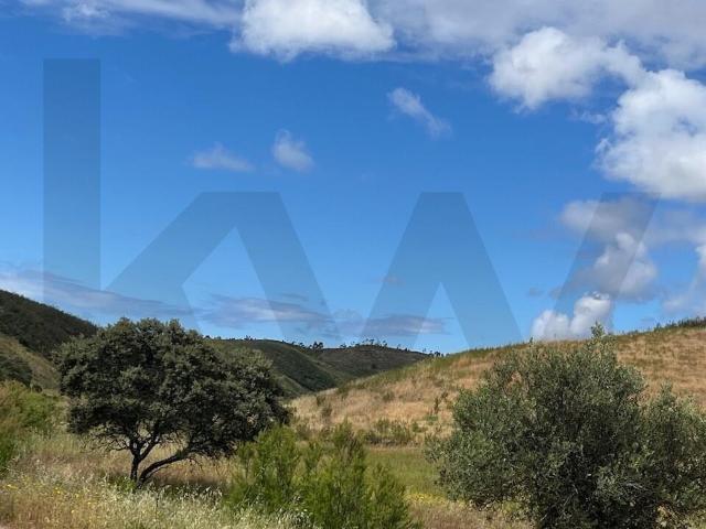 Terreno Rústico de 2,9 ha com Potencial Agrícola e Florestal – Senhora do Verde, Mexilhoeira Grande
