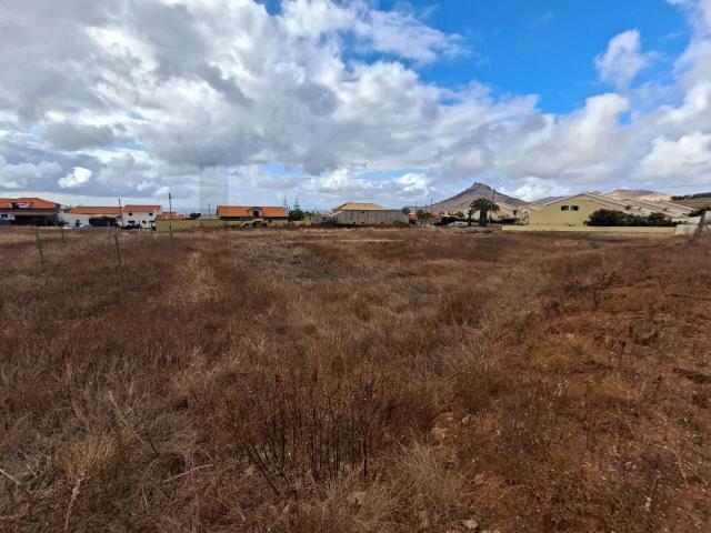 Terreno Rustico de 3160 m2 | Campo de Cima | Porto Santo