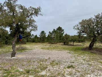 Terreno Rústico de 339.000 m² na Arrábida, junto à Quinta do Peru, com Potencial Excecional de Investimento