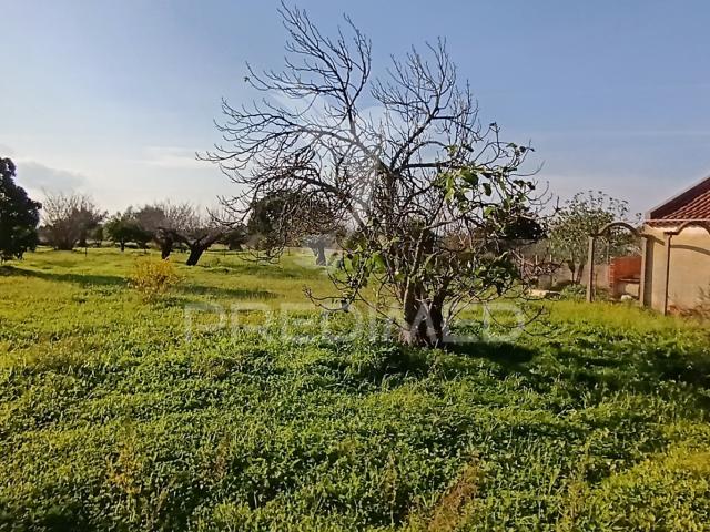 Terreno Rustico de 7.320m2 em Cabanas, Palmela