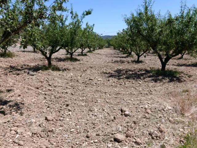 “Terreno rústico de 6.681 m2 en Cehegín – Paraje El Chaparral”