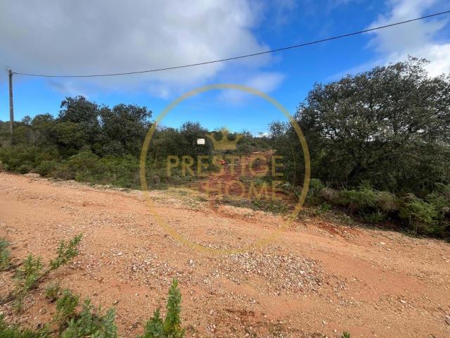 Terreno Rústico de 6.700 m² na Corga – São Sebastião, Loulé