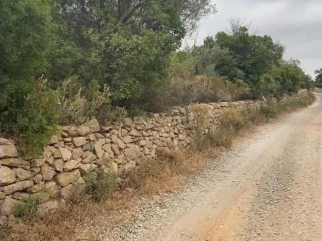 Terreno rústico de 6.120 m2 no Algarve